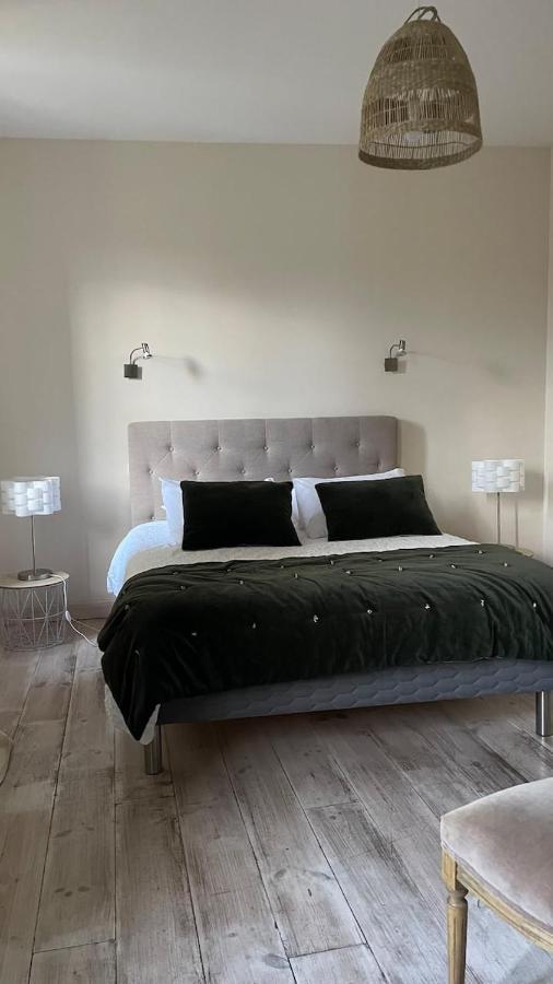 Maison Au Pied De La Cite Carcassonne Dış mekan fotoğraf
